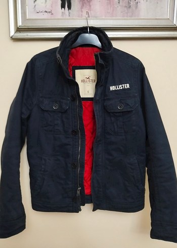 Hollister s/m