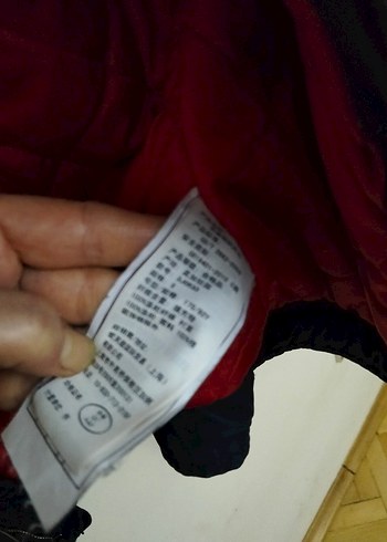 HOLLISTER MONT M-L BEDEN UYUMLU - Görsel 4