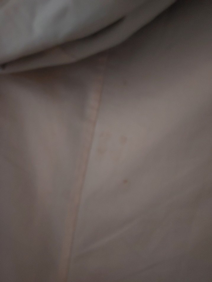 Bej Uzun Kadın Yağmurluk Notch Yaka Ghisa marka - Görsel 4