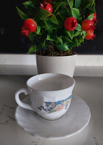 ARCOPAL FRANCE Çiçek Desenli Beyaz 6'lı Fincan Takımı - Görsel 3