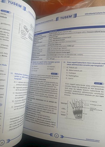 TUS Çalışma Soruları Seti Tusem
11 kitap - Görsel 2