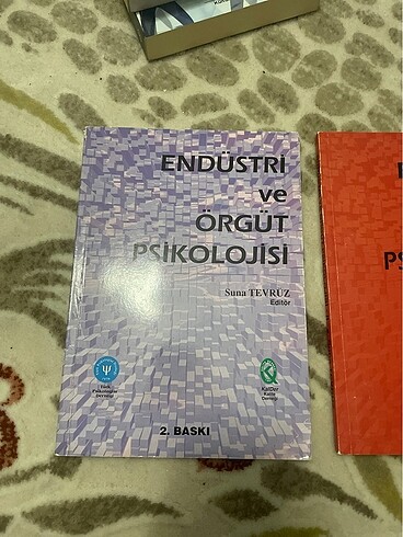 ENDÜSTRİ VE ÖRGÜT PSİKOLOJİSİ