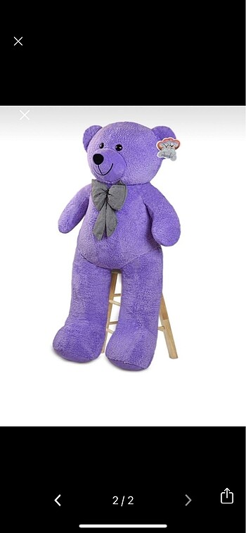 Peluş ayı