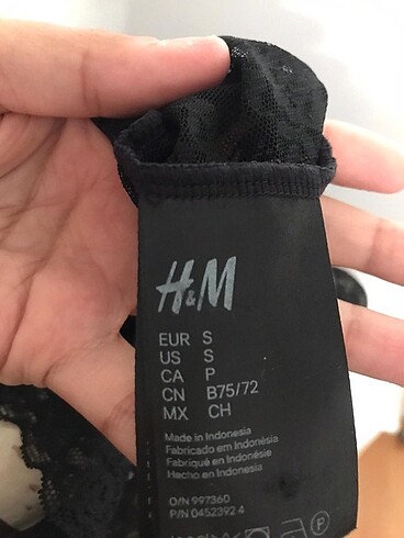 H&M Transparan
