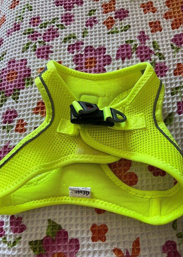 Köpek tasması - Görsel 3