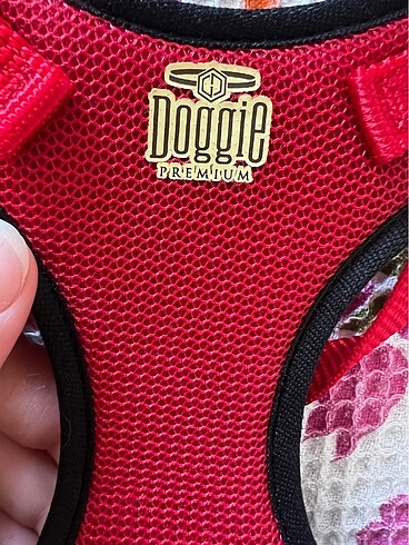  Beden Köpek tasması