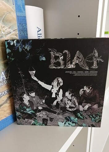B1A4 In the Wind Albüm