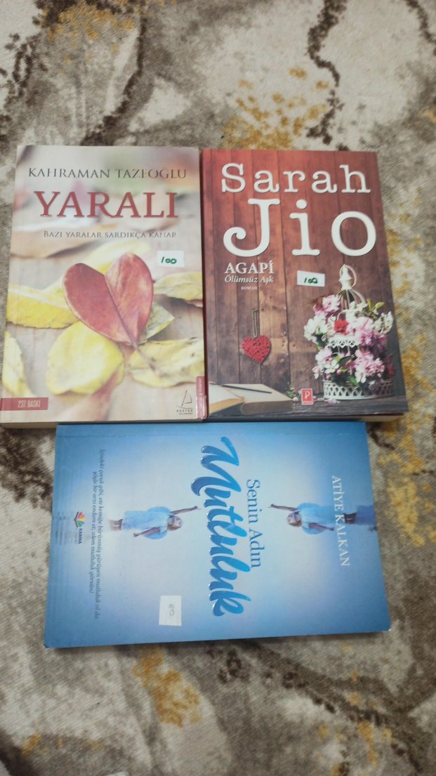 Yaralı, Agapi ve Senin Adın Mutluluk Roman Seti - Görsel 3