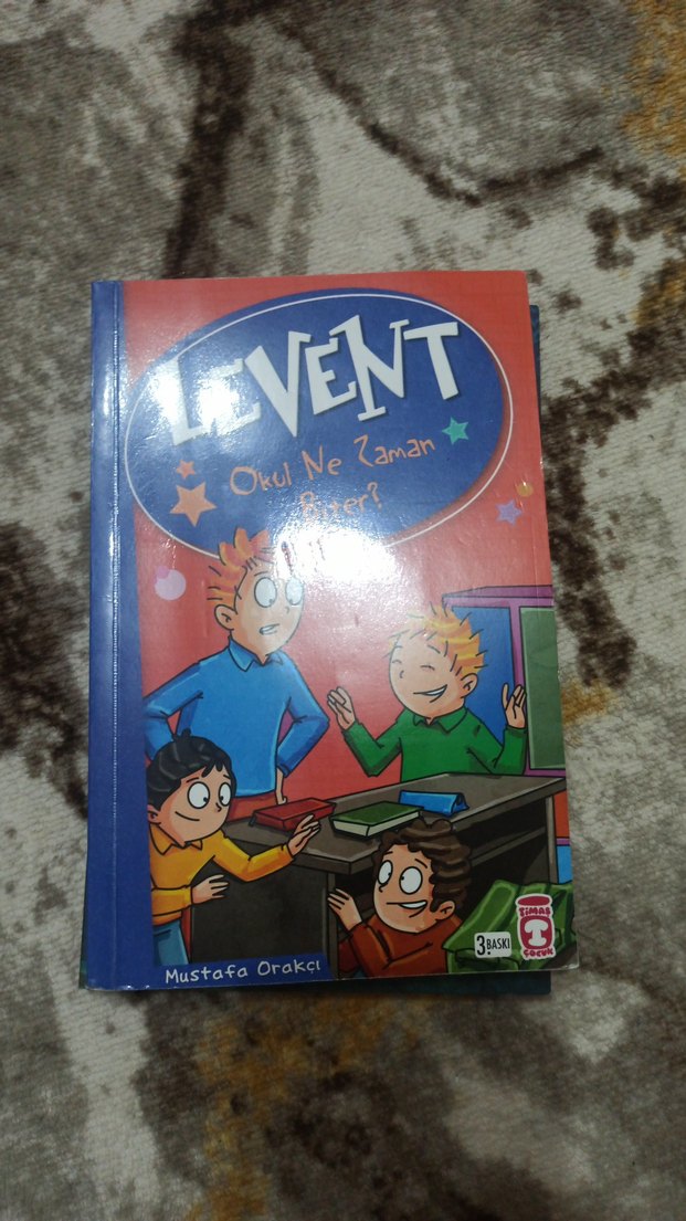 Göğe Tırmanan Çocuk - Ali Standish - Görsel 2