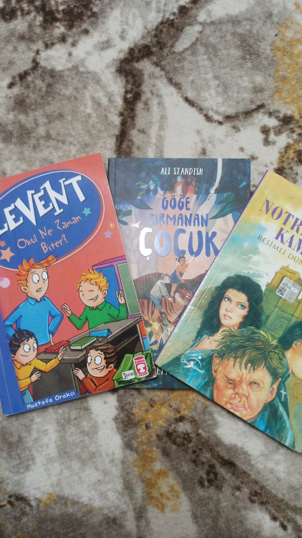 Göğe Tırmanan Çocuk - Ali Standish - Görsel 4