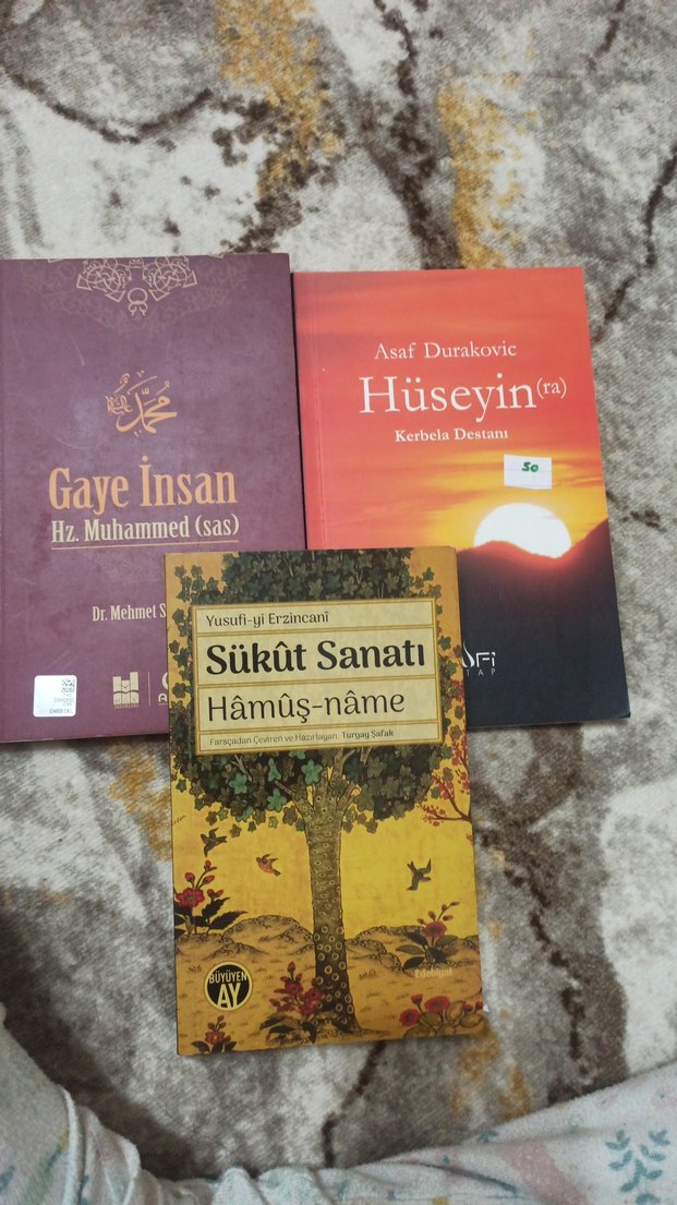 Hüseyin, Gaye İnsan ve Sükût Sanatı Kitapları - Görsel 2