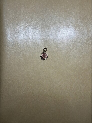 Beden Pandora Charm
