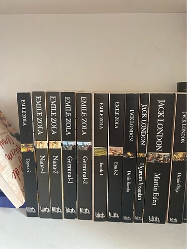 Kitap serisi