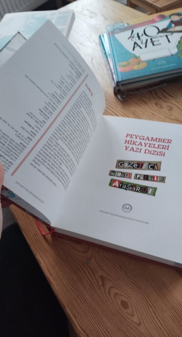 Peygamber Hikayeleri Gazeteci Şinasi Peşinde - Görsel 3