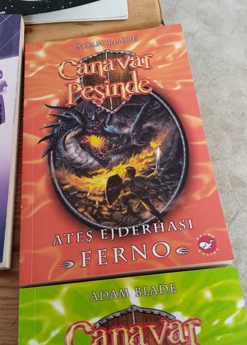 Çocuk Kitapları Seti - Kod Adı Kırlangıç ve Canavar Peşinde - Görsel 7