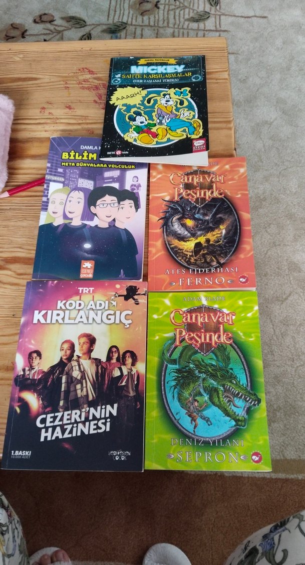 Çocuk Kitapları Seti - Kod Adı Kırlangıç ve Canavar Peşinde - Görsel 2
