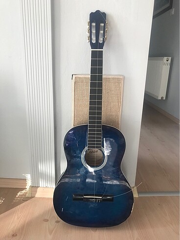 Ashton Gitar