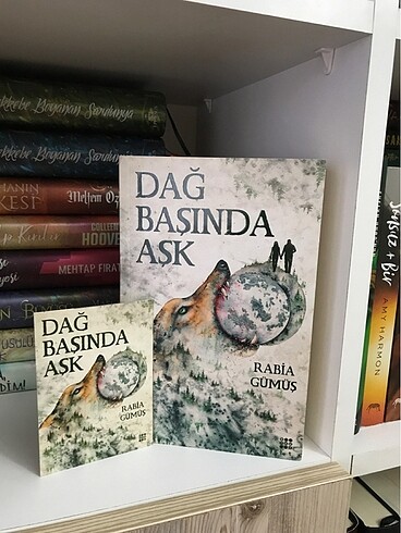 Dağ Başında Aşk