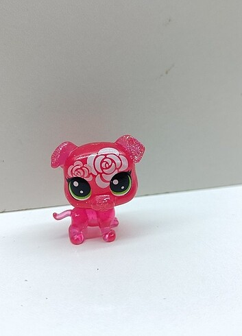  Beden Mini pony