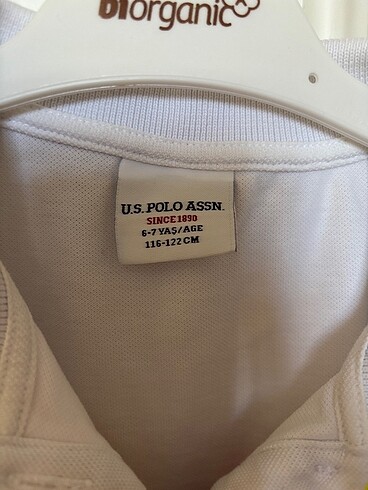 6 Yaş Beden Polo tshirt
