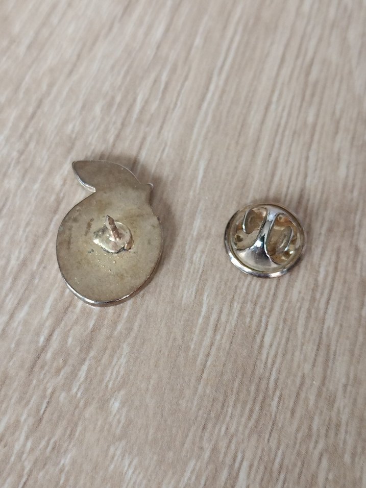 Parlak Turuncu Portakal Rozet - Görsel 4