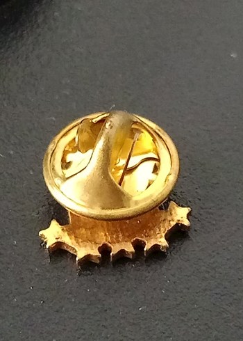 Altın Renkli Türk Bayraklı Rozet - Görsel 2