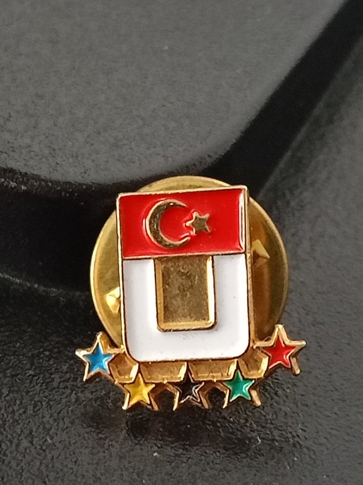 Altın Renkli Türk Bayraklı Rozet - Görsel 4