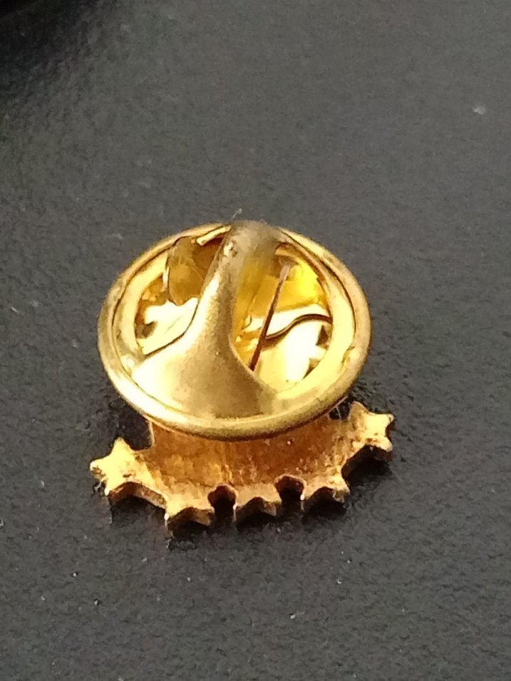 Altın Renkli Türk Bayraklı Rozet - Görsel 2