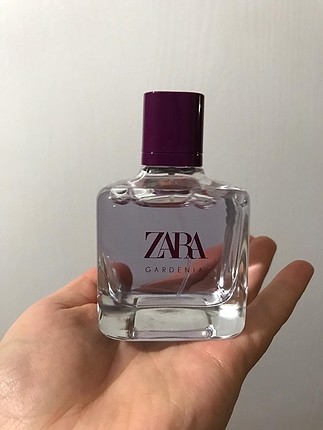 Zara parfum (mor)