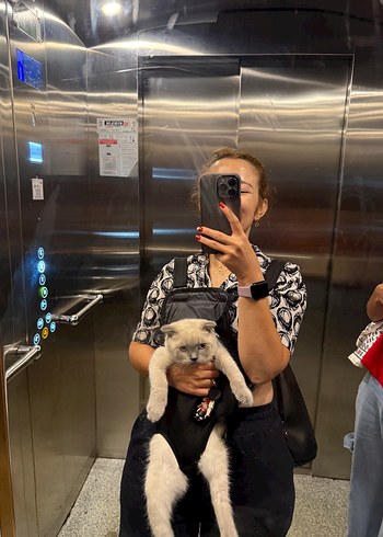 Gri Leopar Desenli Şişme Kedi Kıyafeti - Görsel 3