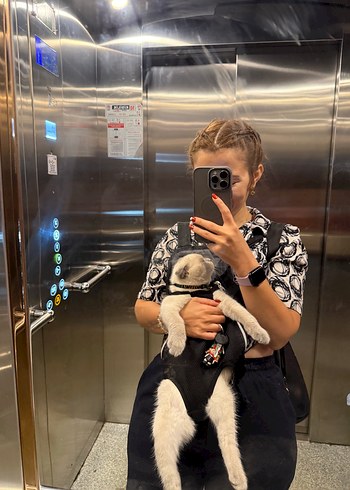 Gri Leopar Desenli Şişme Kedi Kıyafeti - Görsel 2