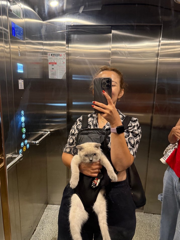 Gri Leopar Desenli Şişme Kedi Kıyafeti - Görsel 3