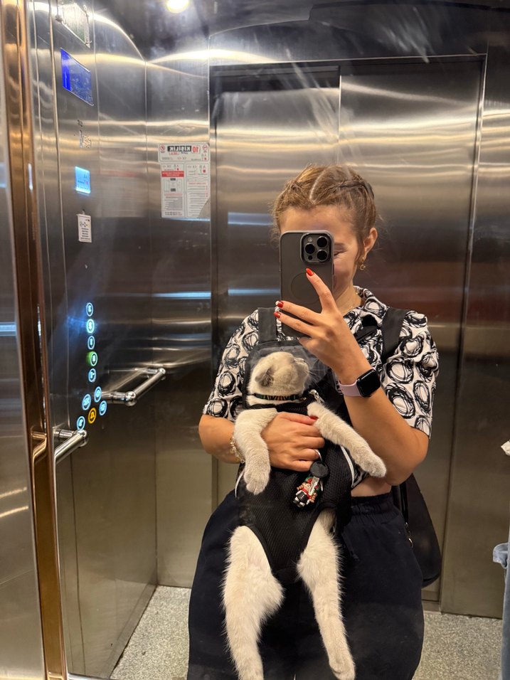 Gri Leopar Desenli Şişme Kedi Kıyafeti - Görsel 2