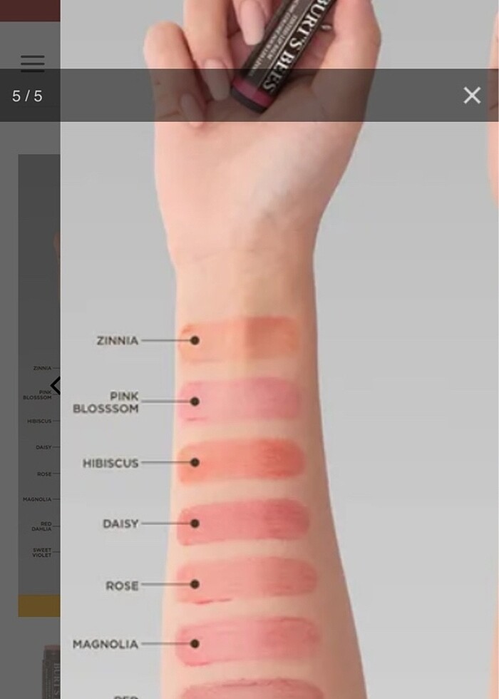 Orijinal 2024 Burts Bees ZİNNİA - Görsel 2