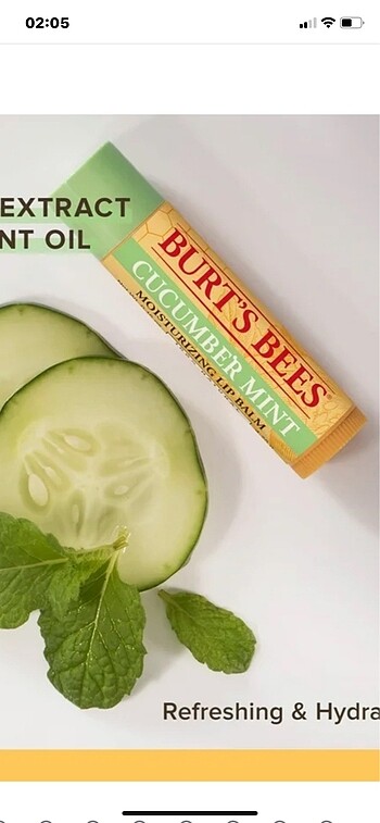 Burts Bees Cucumber Mint lip balm