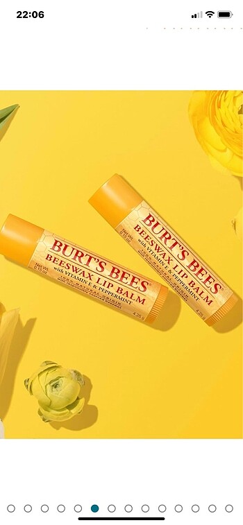 Burt's Bees Burts Bees Beeswax