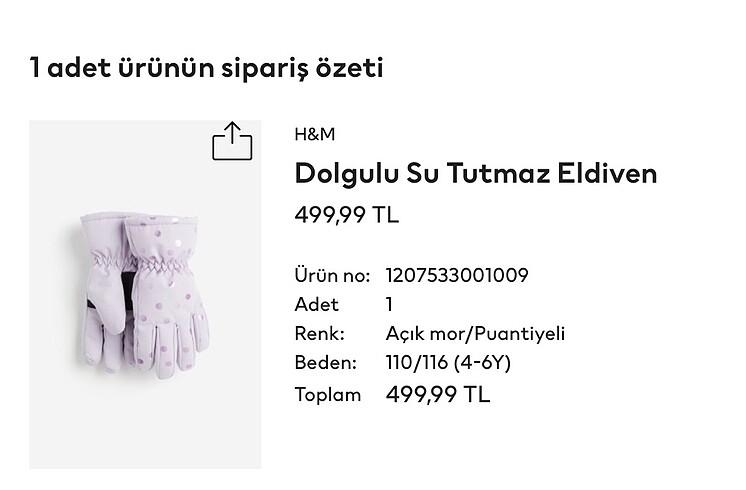 Beden mor Renk Hm kar eldiveni