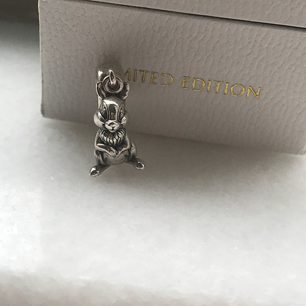 Pandora charm