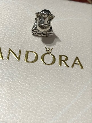 Pandora charm