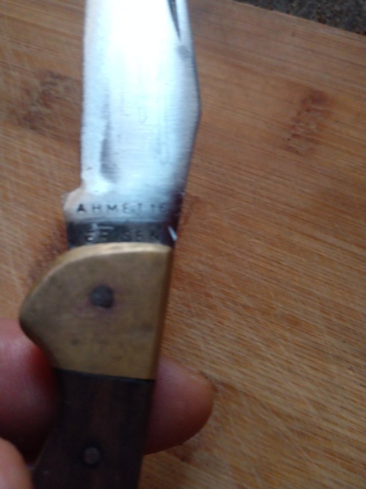 pirinç Balçak ceviz kabza Bursa - Görsel 3