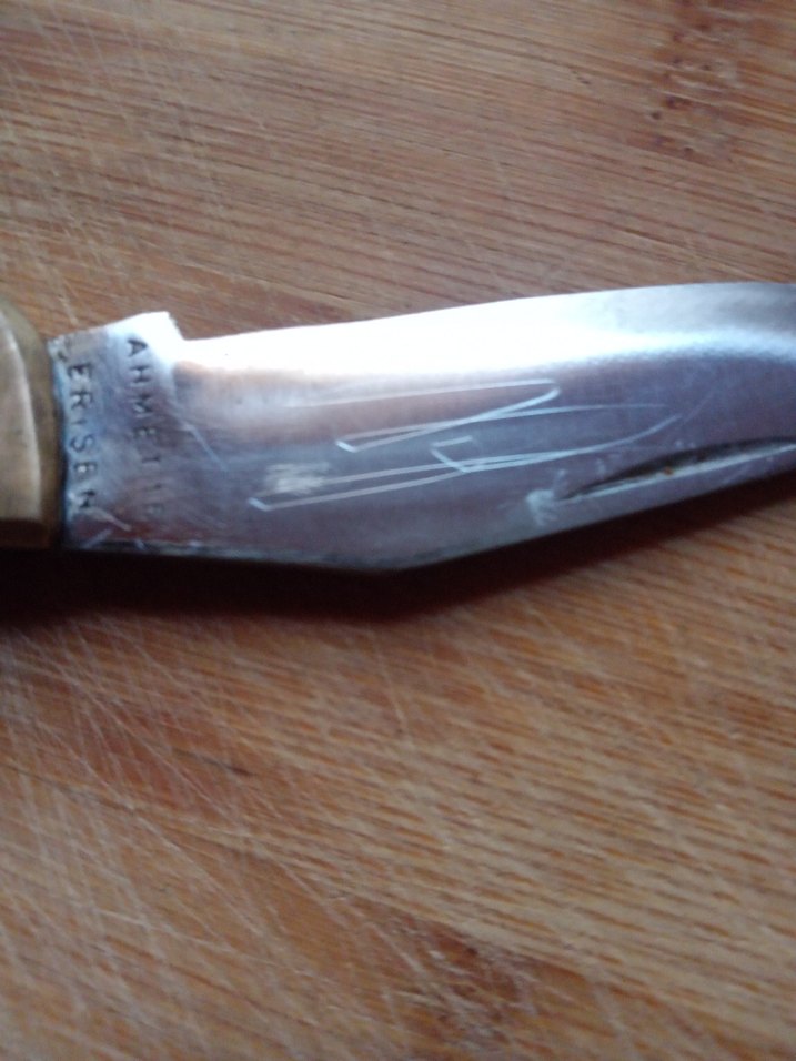 pirinç Balçak ceviz kabza Bursa - Görsel 4