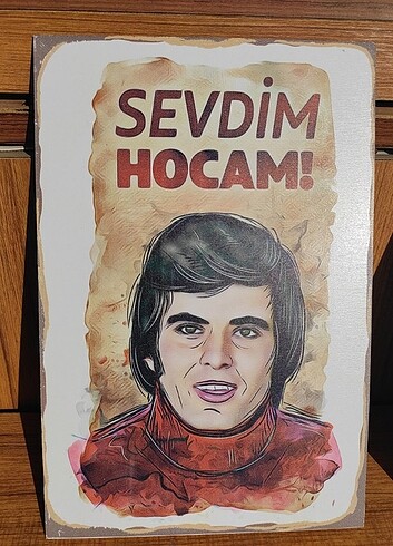Sevdim hocam