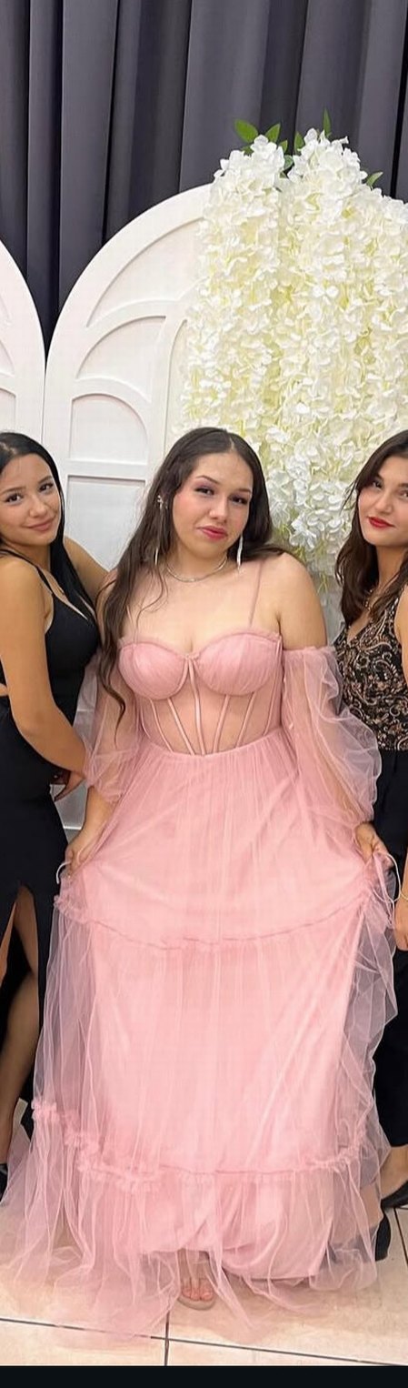 Pembe Transparan Uzun Straplez Nişan Elbisesi - Görsel 2