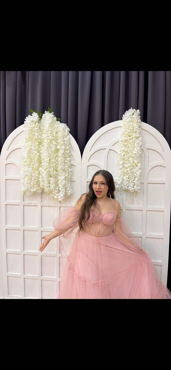 Pembe Transparan Uzun Straplez Nişan Elbisesi - Görsel 4