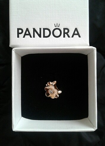 #PANDORA