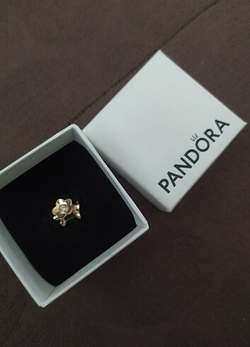 Pandora charm