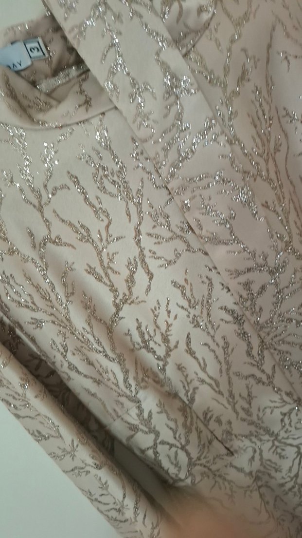 Bej Uzun Kollu Drapeli Kadın Abiye Elbise - Görsel 2