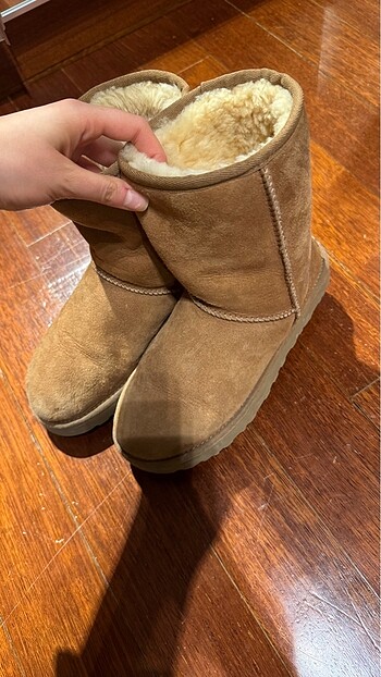 37 Beden Ugg bot