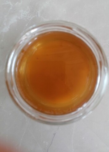 kombucha mantarı