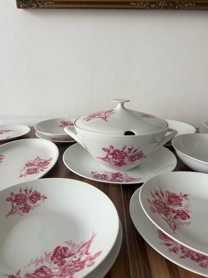 Bordo Çiçek Desenli Yemek Takımı Çekoslavak damgalı - Görsel 3